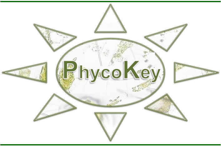 Phycokey